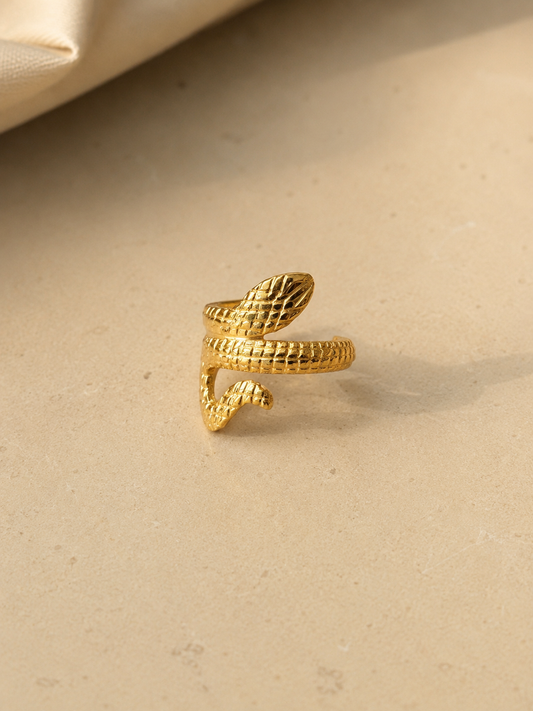 Bague d'oreille Snaky